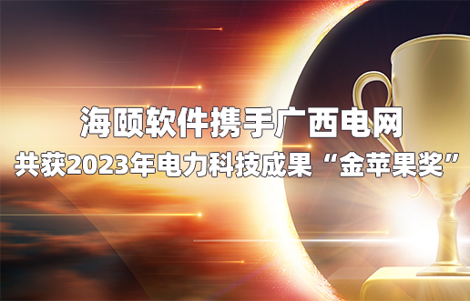 海頤軟件攜手廣西電網共獲2023年電